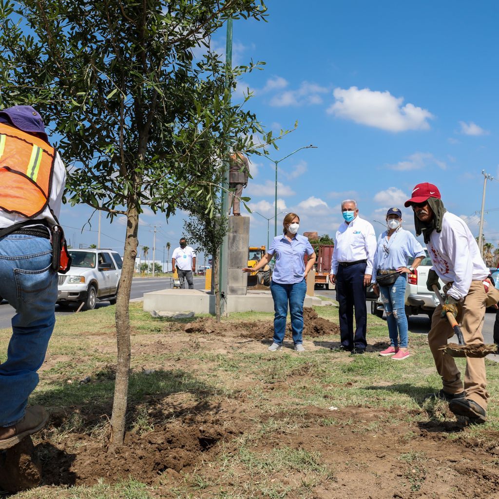 Arranca Sanmiguel reforestación de NLD en Calzada de los Héroes