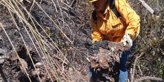 Colaboran brigadistas de la SEDUMA en contención de incendio forestal en Jaumave