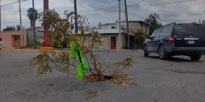 Socavones en Nuevo Laredo: Ciudadanos en peligro ante la inacción del Gobierno Municipal