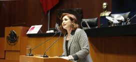 Expresa Senadora Imelda Sanmiguel preocupación por Reforma Energética