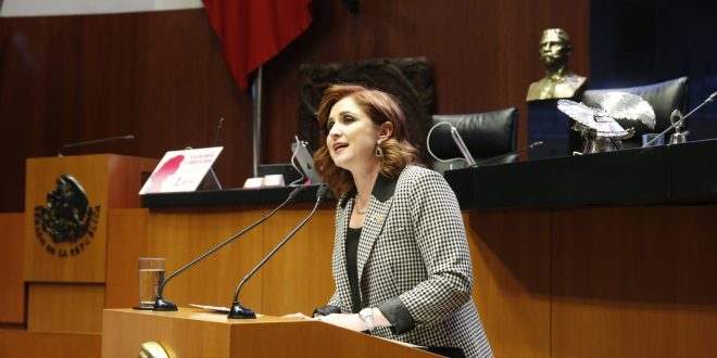 Expresa Senadora Imelda Sanmiguel preocupación por Reforma Energética