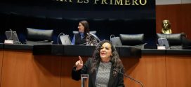 Apoyos sociales a sectores vulnerables están protegidos por la Constitución: Olga Sosa Ruíz