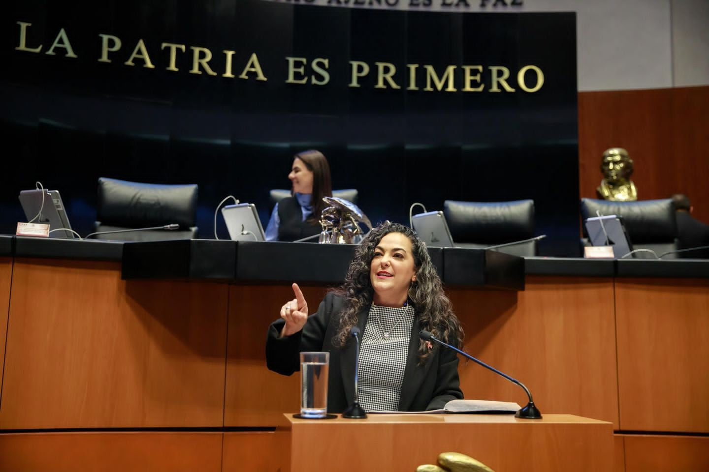 Apoyos sociales a sectores vulnerables están protegidos por la Constitución: Olga Sosa Ruíz