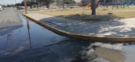 Mientras escasea el agua en muchas colonias, en el Parque Silao se desperdicia