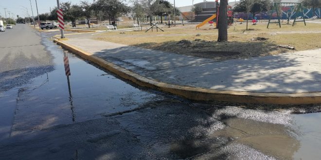 Mientras escasea el agua en muchas colonias, en el Parque Silao se desperdicia