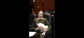 Vota Giselle Arellano en favor de protección animal