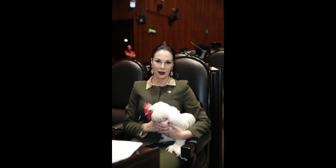 Vota Giselle Arellano en favor de protección animal